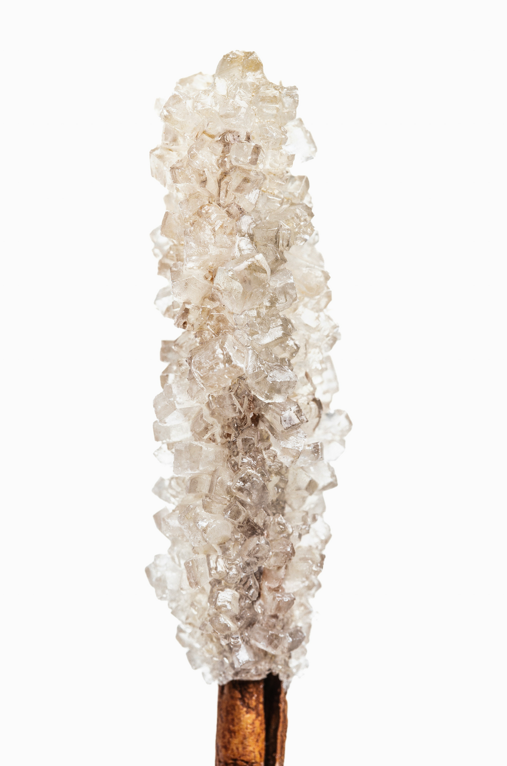 Luxurious Vanilla Sugar 50ml Perfume Oil Rollerball