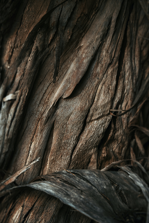 Premium Vanilla Sandalwood 32 oz 2-In-1
