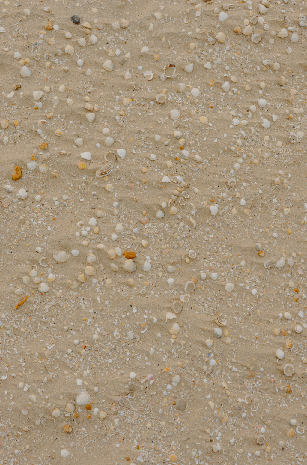 Aromatic Ocean & Sea Salt 110 ml Reed Diffuser