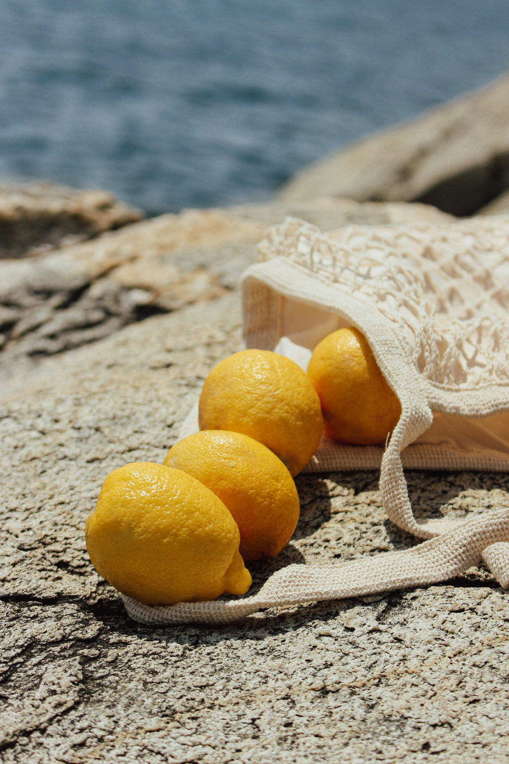 Cozy Italian Citrus 8 oz scented candle